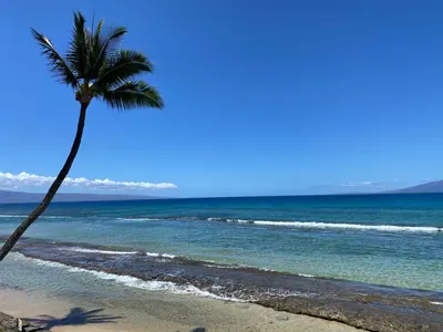 A beach on the south Maui coast near unit 711